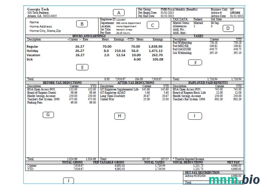 GEORGIA TECH pay stub Word i szablon PDF
